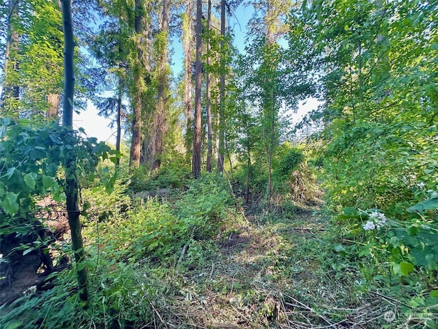 Listing photo 2 for 0LOT2 Enchanted Forest Rd, Orcas Island WA 98245