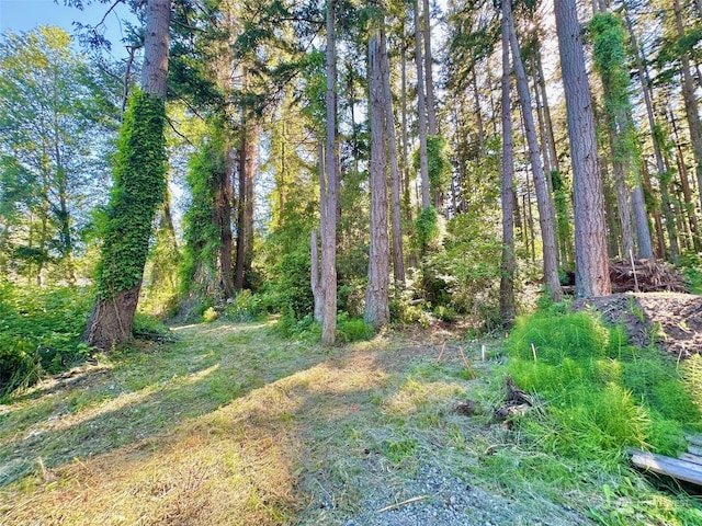 0LOT2 Enchanted Forest Rd, Orcas Island WA, 98245 land for sale