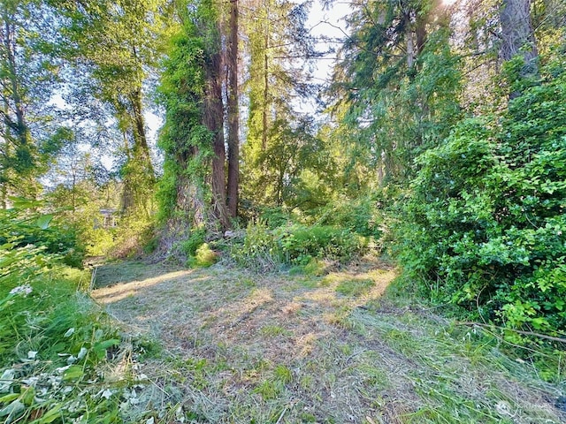 Listing photo 3 for 0LOT2 Enchanted Forest Rd, Orcas Island WA 98245