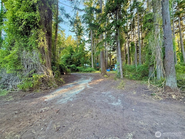 0LOT2 Enchanted Forest Rd, Orcas Island, WA 98245 - photo 1