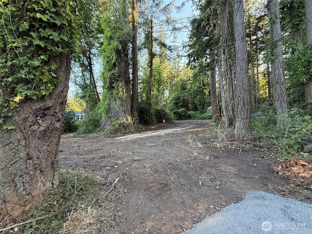 0LOT2 Enchanted Forest Rd, Orcas Island, WA 98245 - photo 2
