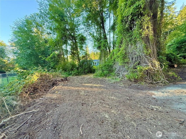 0LOT2 Enchanted Forest Rd, Orcas Island, WA 98245 - photo 3