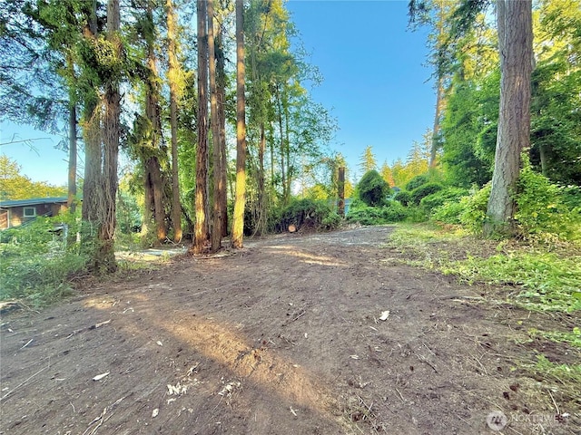 0LOT2 Enchanted Forest Rd, Orcas Island, WA 98245 - photo 4