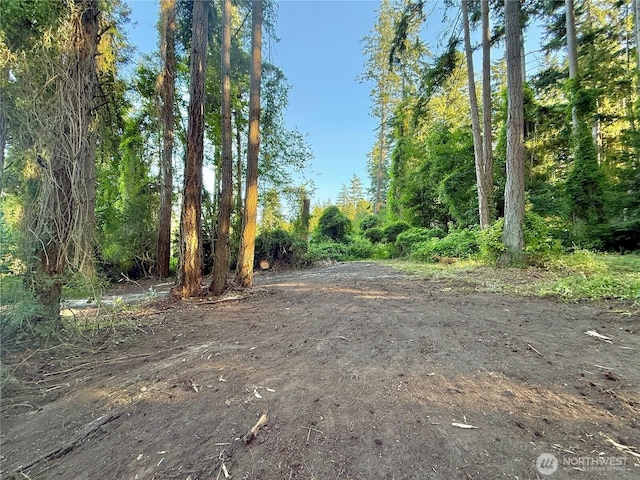 0LOT2 Enchanted Forest Rd, Orcas Island, WA 98245 - photo 5