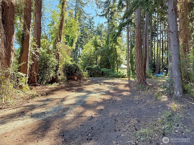 0LOT2 Enchanted Forest Rd, Orcas Island, WA 98245 - photo 6