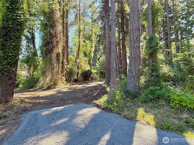 0LOT2 Enchanted Forest Rd, Orcas Island, WA 98245 - photo 7