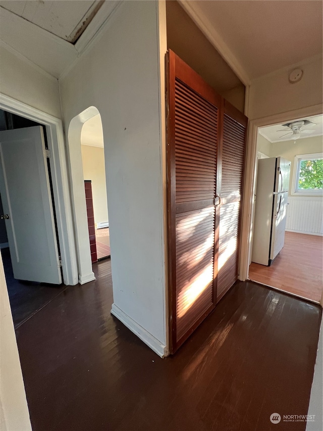 hallway with dark hardwood / wood-style flooring