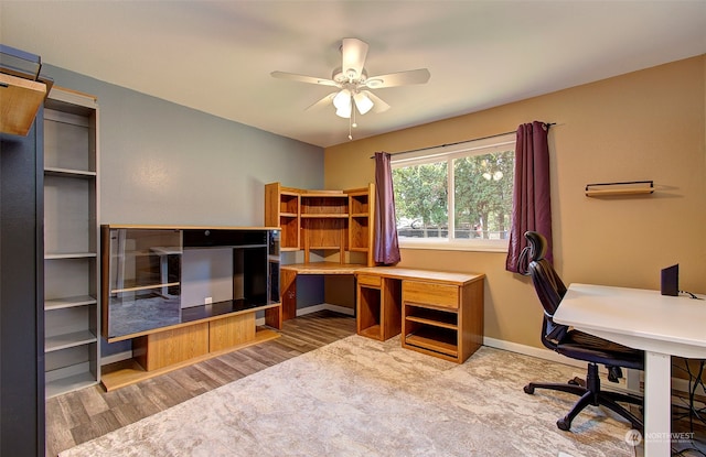 office space with ceiling fan and light hardwood / wood-style floors