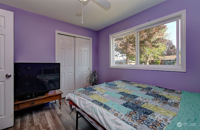 bedroom featuring a closet, ceiling fan, and hardwood / wood-style floors