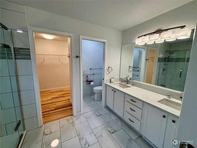 bathroom with vanity, a shower with door, and toilet