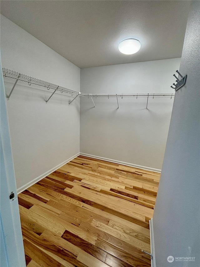 walk in closet with wood-type flooring