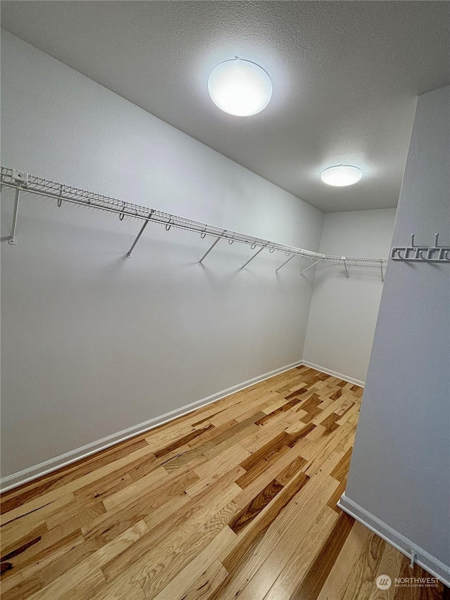 walk in closet with hardwood / wood-style floors