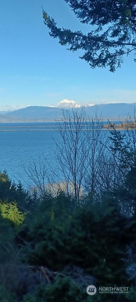 3917 Mallard Point Dr, Anacortes, WA 98221 - view of water feature featuring a mountain view
