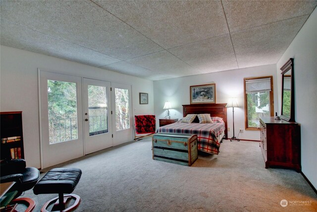 3917 Mallard Point Dr, Anacortes, WA 98221 - carpeted bedroom with access to exterior