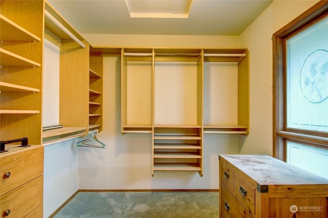 3917 Mallard Point Dr, Anacortes, WA 98221 - walk in closet featuring carpet