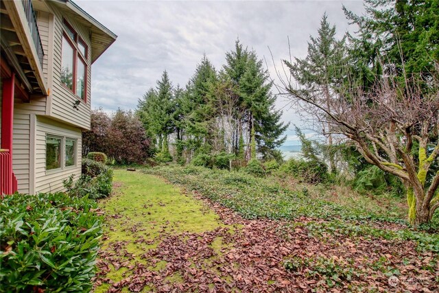 3917 Mallard Point Dr, Anacortes, WA 98221 - view of yard
