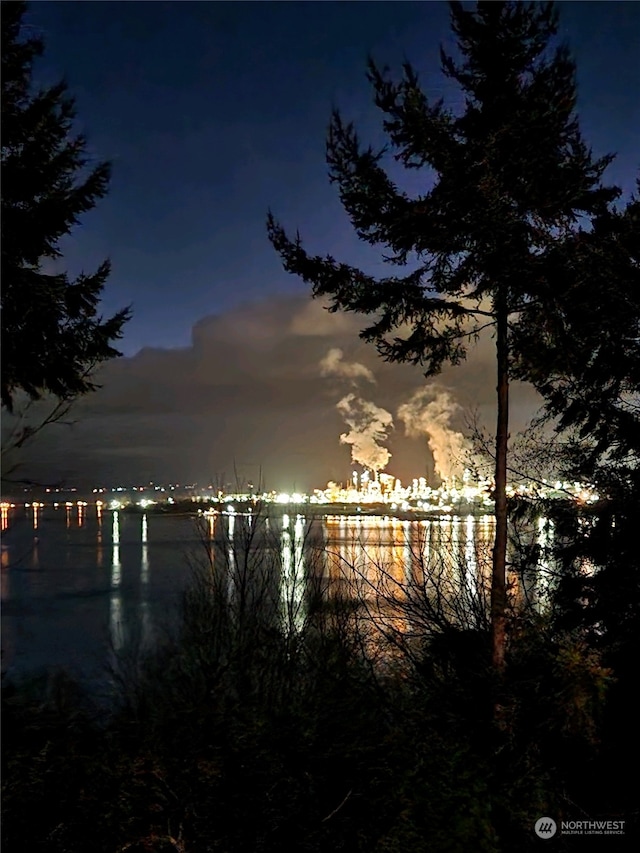 3917 Mallard Point Dr, Anacortes, WA 98221 - property view of water