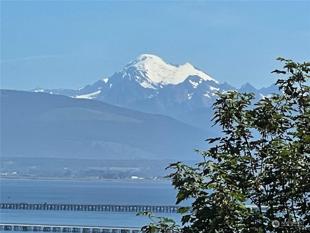 3917 Mallard Point Dr, Anacortes, WA 98221 - property view of mountains featuring a water view