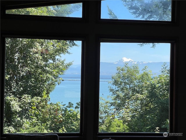 3917 Mallard Point Dr, Anacortes, WA 98221 - interior details with a water view