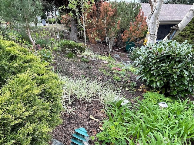 3917 Mallard Point Dr, Anacortes, WA 98221 - view of yard