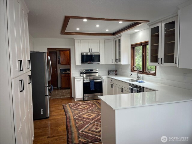 3917 Mallard Point Dr, Anacortes, WA 98221 - kitchen featuring a sink, recessed lighting, appliances with stainless steel finishes, dark wood-type flooring, and a raised ceiling