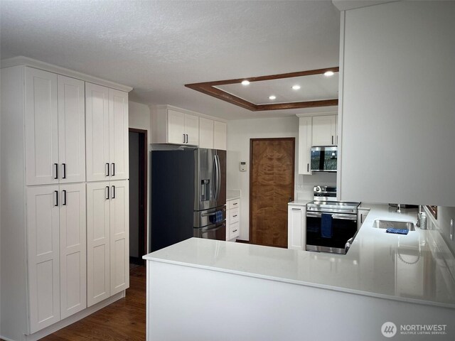 3917 Mallard Point Dr, Anacortes, WA 98221 - kitchen featuring a sink, a peninsula, appliances with stainless steel finishes, dark wood-type flooring, and recessed lighting