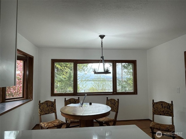 3917 Mallard Point Dr, Anacortes, WA 98221 - dining space featuring wood finished floors