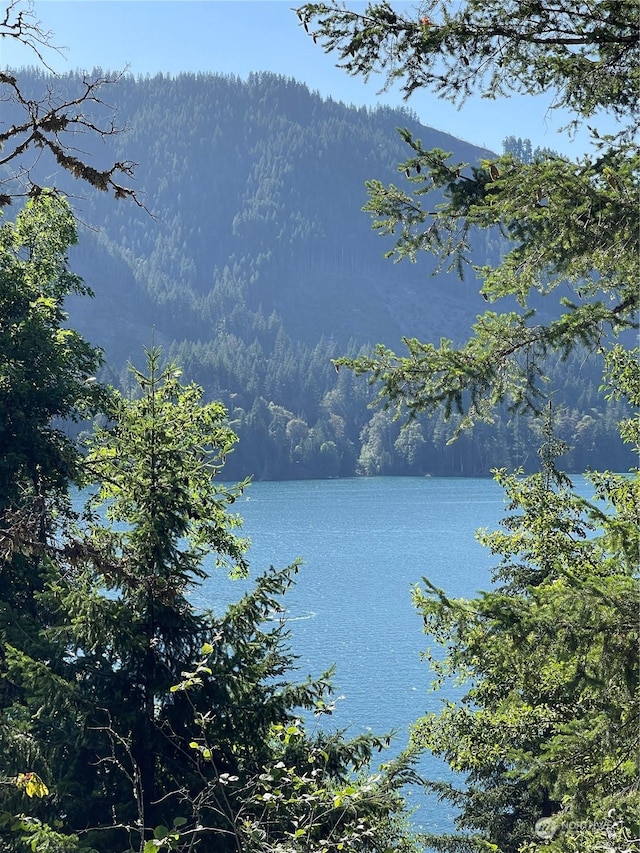 property view of water with a mountain view and a forest view