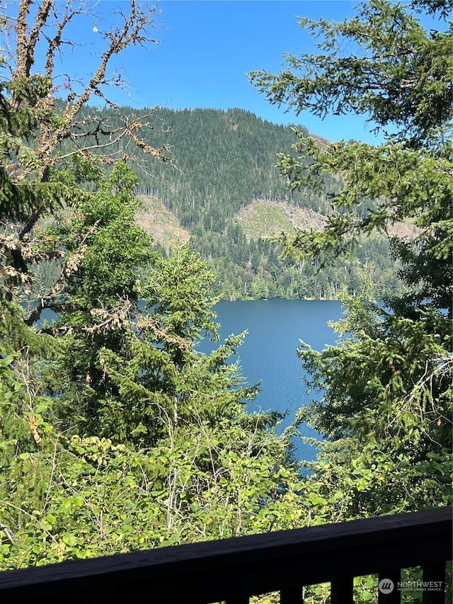 water view with a forest view