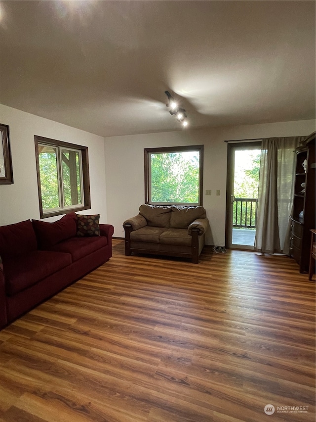 living room with dark hardwood / wood-style flooring