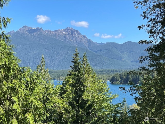 view of mountain feature with a water view and a view of trees