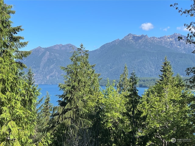 view of mountain feature with a water view