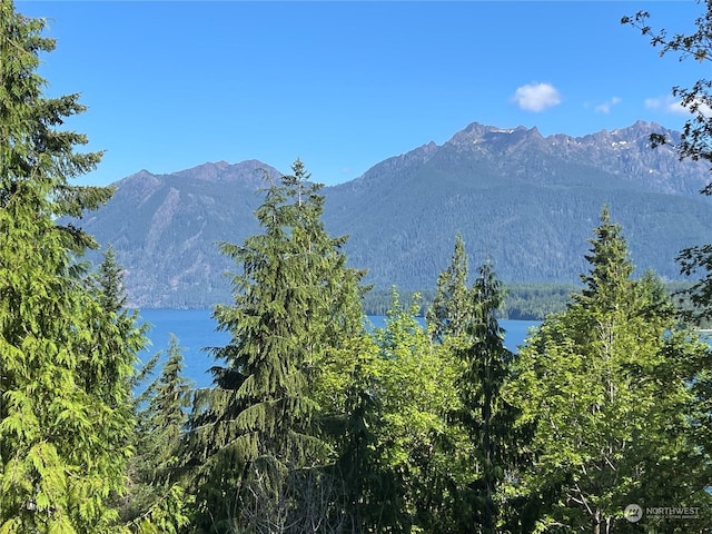 property view of mountains featuring a water view