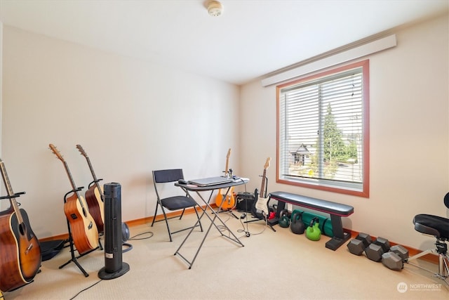 interior space with light carpet