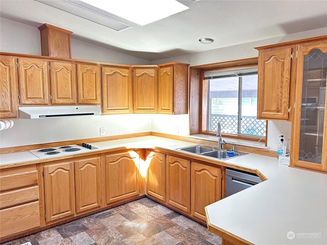 kitchen with white electric cooktop, lofted ceiling, stainless steel dishwasher, and sink