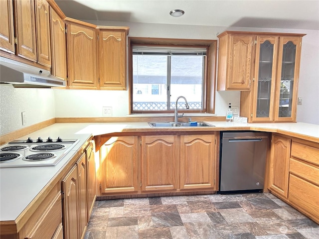 kitchen with sink, white electric cooktop, and stainless steel dishwasher