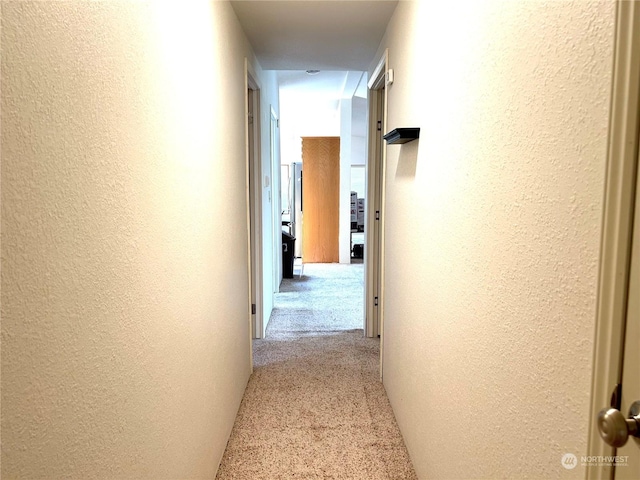 hallway featuring light carpet