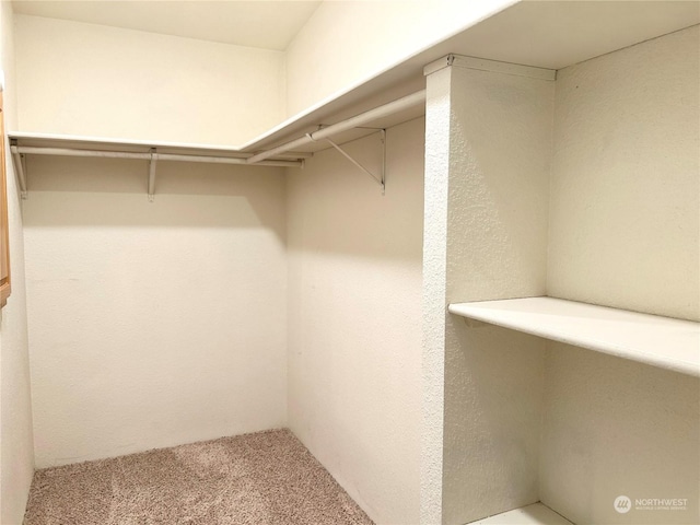 walk in closet with carpet