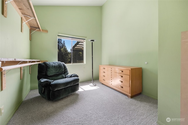 living area with light carpet