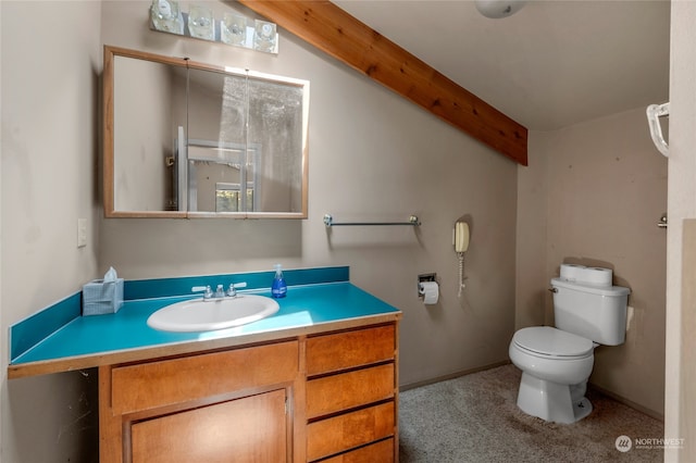 bathroom with toilet and vanity