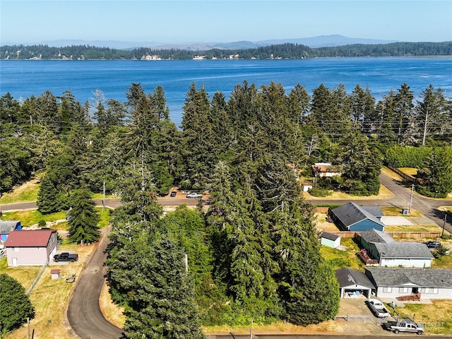 drone / aerial view featuring a water and mountain view