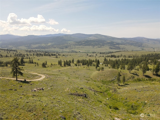 0XX E Cayuse Mountain Rd, Tonasket WA, 98855 land for sale