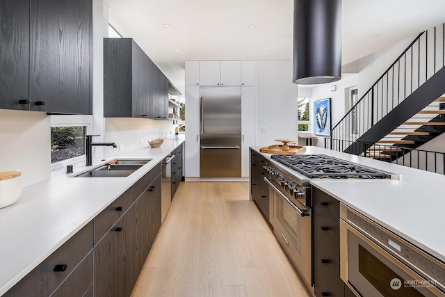 kitchen featuring extractor fan, a wealth of natural light, sink, built in appliances, and light hardwood / wood-style floors