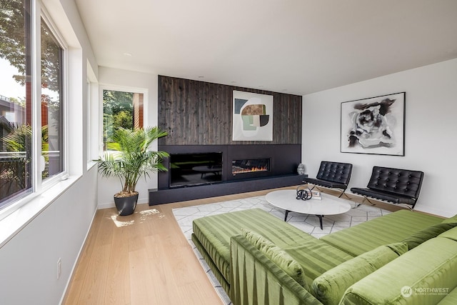 living room with a fireplace and light hardwood / wood-style floors