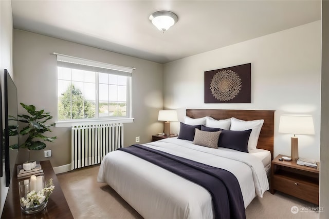 bedroom with radiator heating unit and carpet