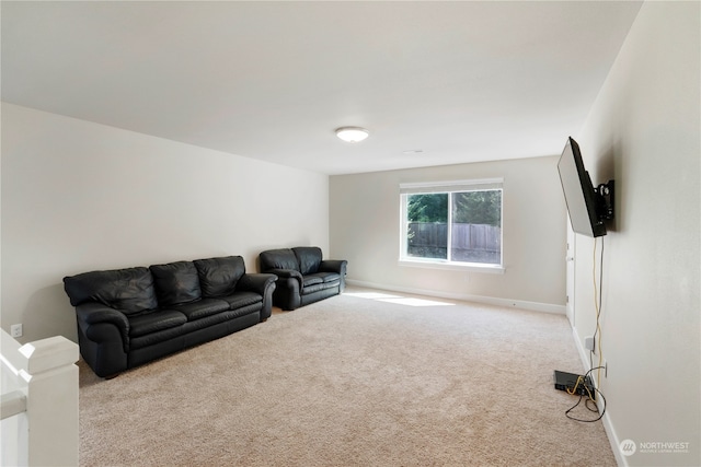 living room featuring light carpet