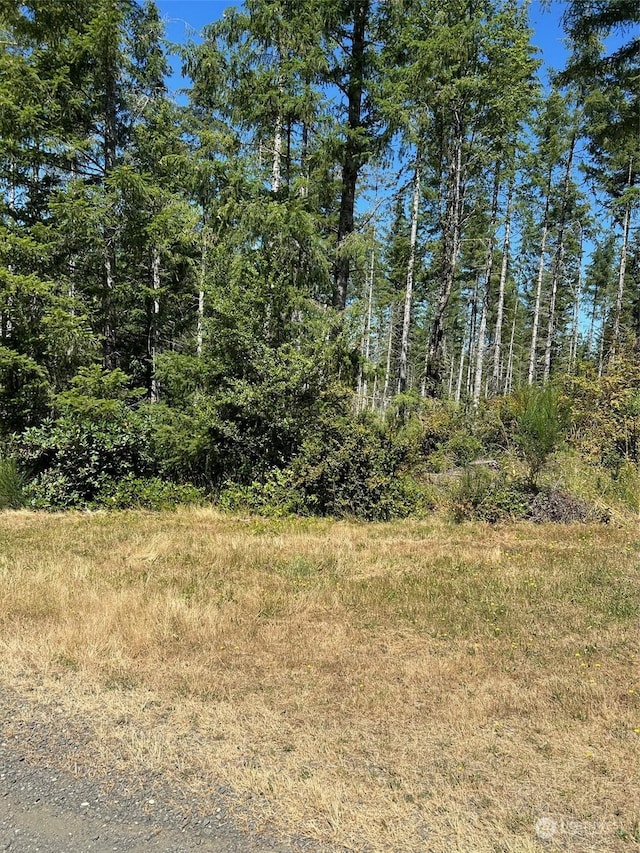500 E Morris Creek Dr, Belfair, WA 98528