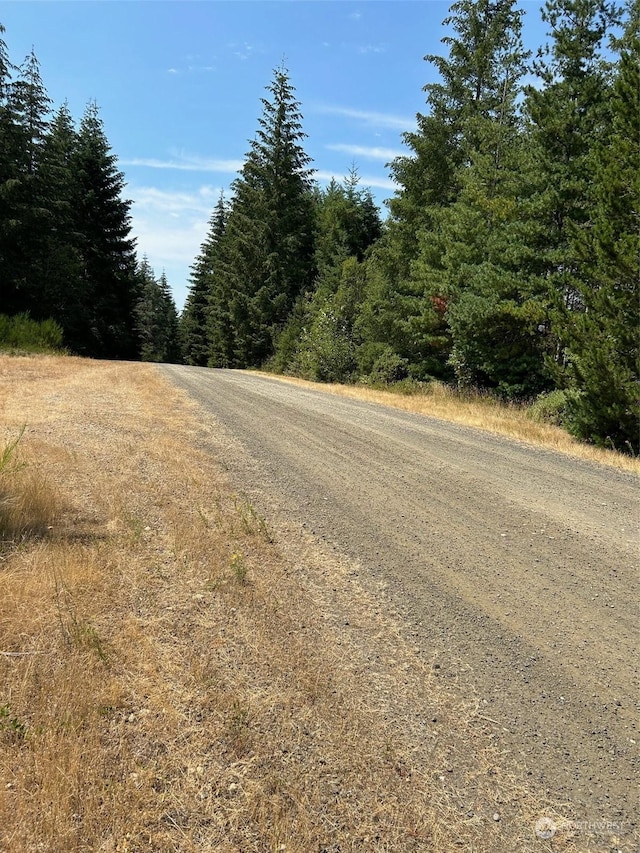 500 E Morris Creek Dr, Belfair, WA 98528