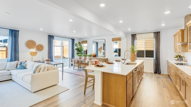 kitchen featuring sink, an island with sink, light hardwood / wood-style flooring, and a wealth of natural light