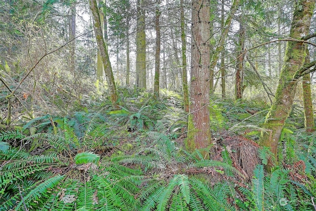 1802 Amber View Pl, Camano Island, WA 98282